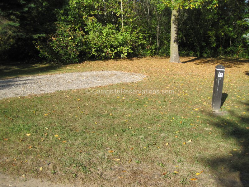 Campsite 75 in Rice Creek Chain of Lakes Regional Park Campground F